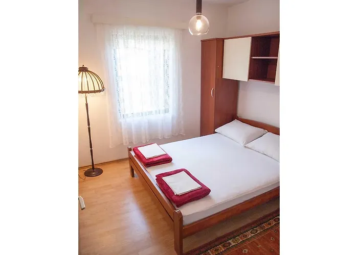 Clematis Трогир